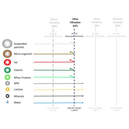 Ultrafiltration involves using membranes in which the pores are larger and the pressure is relatively low. Salts, sugars, organic acids and smaller peptides are allowed to pass, while proteins, fats and polysaccharides are not.
